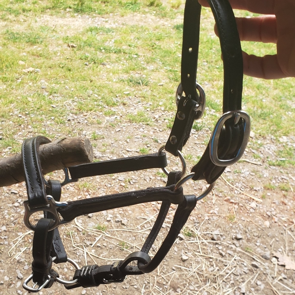 Mini horse show halter black w lead